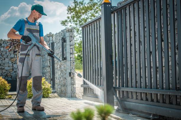 Best Graffiti Removal Services in Venus, TX
