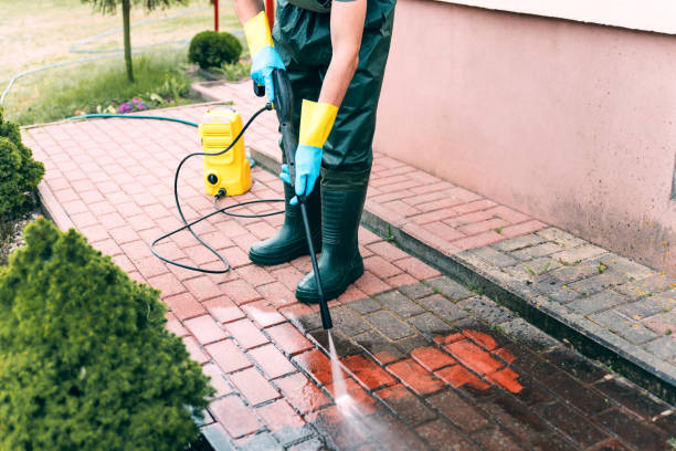 Best Fence Cleaning and Maintenance in Venus, TX