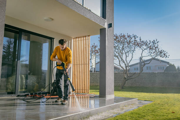 Best Roof Cleaning and Mildew Removal in Venus, TX